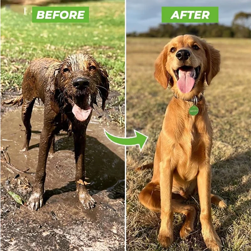 PowerWash Pet Shower Gun